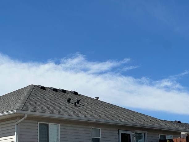 Best Storm Damage Roof Repair  in Muscle Shos, AL